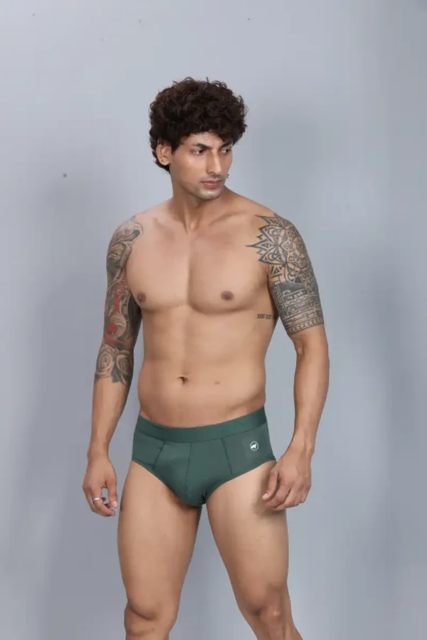 Modal Brief - Image 5