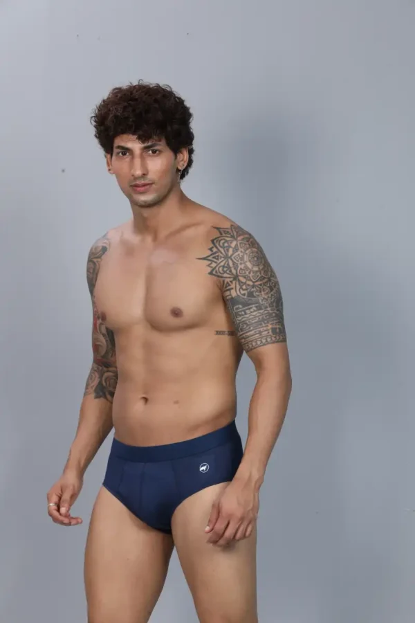 Modal Brief - Image 4