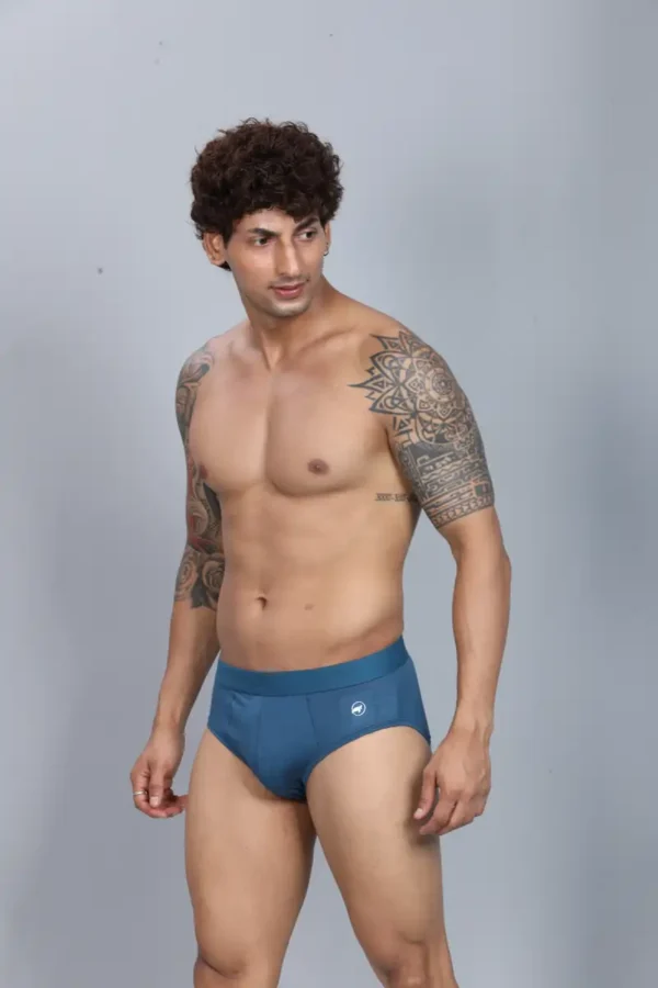 Modal Brief - Image 3